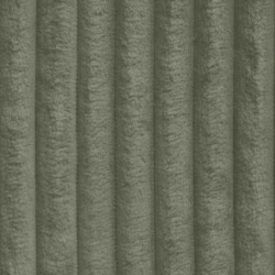 Tilia 37